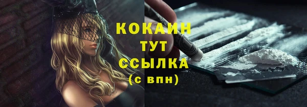 ПСИЛОЦИБИНОВЫЕ ГРИБЫ Переславль-Залесский