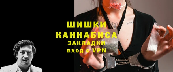 ПСИЛОЦИБИНОВЫЕ ГРИБЫ Переславль-Залесский