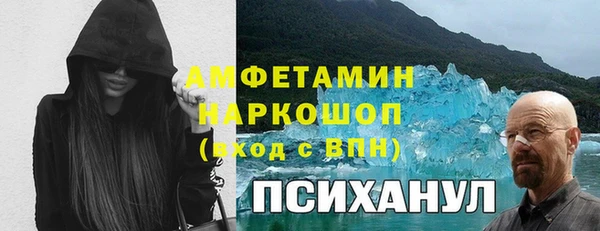 тгк Пересвет