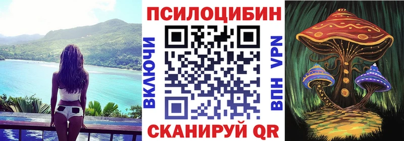 Купить где  Шацк  Галлюциногенные грибы GOLDEN TEACHER 